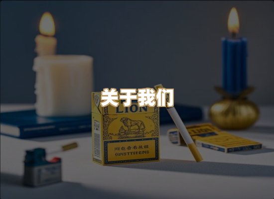 关于蓝帝网